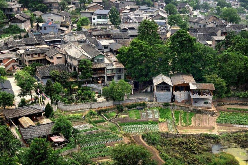 沪江开心词场